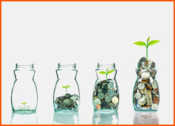 Jars filled with coins and a budding plant