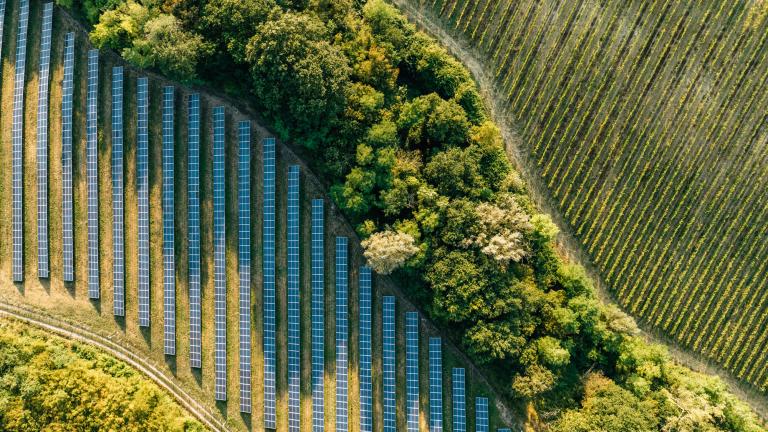photo of a forested field with many solar panels
