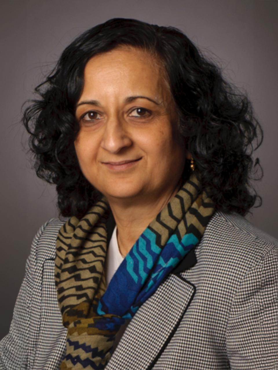 Headshot of Dr. Anuradha Annaswamy