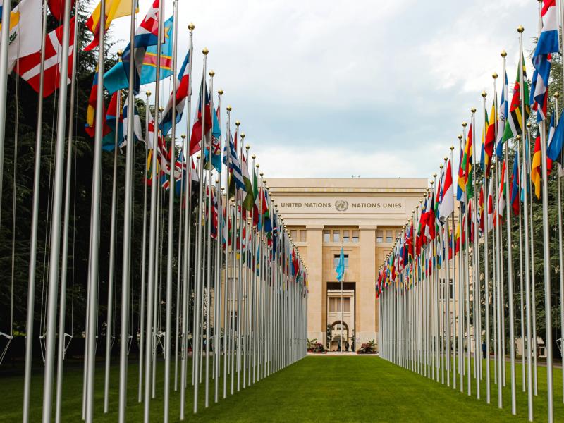 Images for Global Public Policy page